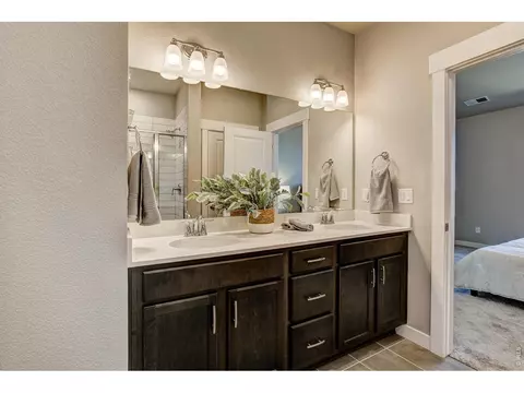 6796 Maple Leaf Dr, Timnath, CO 80547 photo 20