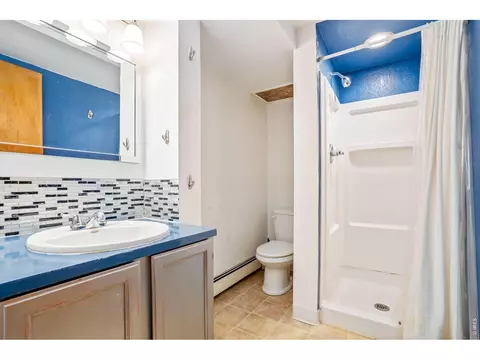 Bath - 519 Locust St, Windsor, CO 80550 photo 2 of 2