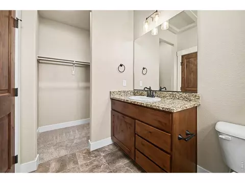7166 Cottage Ct, Timnath, CO 80547 photo 11