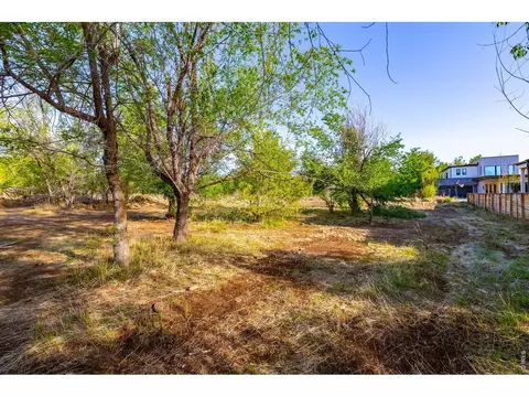 1952 Vine Ave, Boulder, CO 80304 photo 14