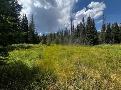 Undisclosed, Red Feather Lakes, CO 80545