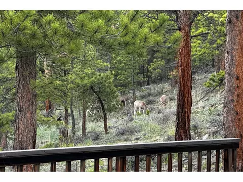 Exterior - 18673 Highway 7, Lyons, CO 80540 photo 1 of 8