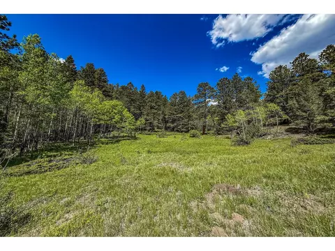 Other - 18673 Highway 7, Lyons, CO 80540 photo 9 of 11
