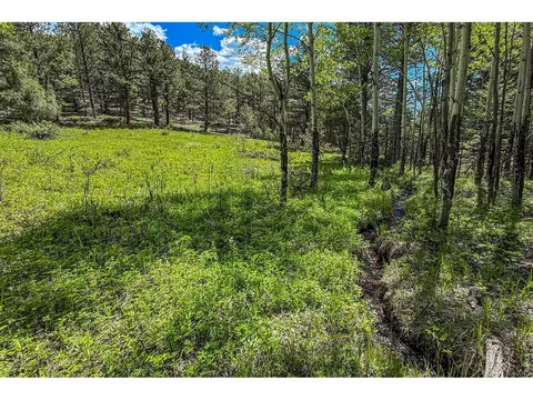 Other - 18673 Highway 7, Lyons, CO 80540 photo 6 of 11