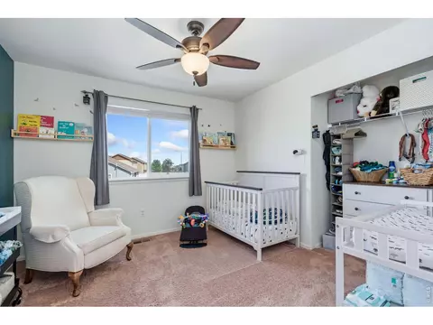 Other - 375 Shadowbrook Dr, Windsor, CO 80550 photo 3 of 4