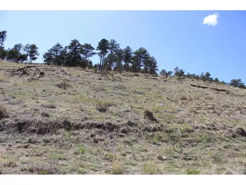 6301 Sunshine Canyon Dr, Boulder, CO 80302 photo 12