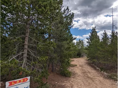 90 Quapaw Ct, Red Feather Lakes, CO 80545