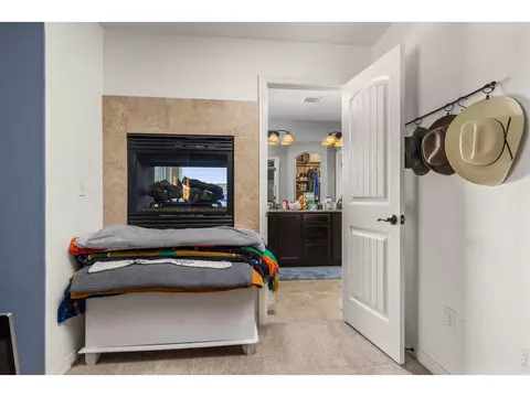 Other - 7409 Rosecroft Dr, Windsor, CO 80550 photo 3 of 7