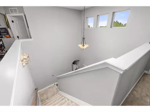 Entry Way - 7409 Rosecroft Dr, Windsor, CO 80550 photo 3 of 4