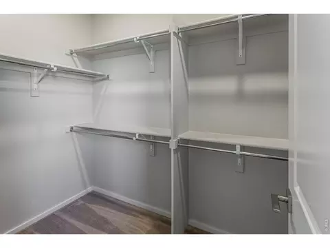 Other - 5473 Drehle St, Timnath, CO 80547 photo 4 of 10