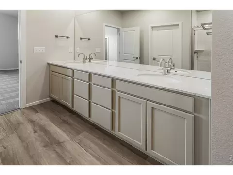Bath - 5473 Drehle St, Timnath, CO 80547 photo 4 of 7
