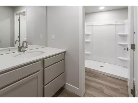 Bath - 5473 Drehle St, Timnath, CO 80547 photo 6 of 7