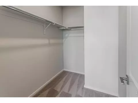 Other - 5473 Drehle St, Timnath, CO 80547 photo 3 of 10