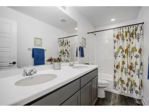 Bath - 1055 Rubinette Ln, Berthoud, CO 80513 photo 3 of 4