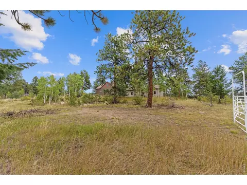 Exterior - 14534 S Wandcrest Dr, Pine, CO 80470 photo 9 of 11