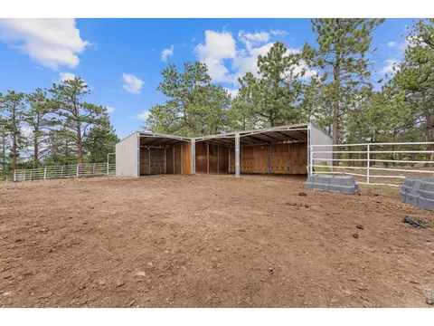 Exterior - 14534 S Wandcrest Dr, Pine, CO 80470 photo 10 of 11