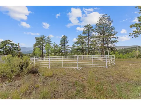 Exterior - 14534 S Wandcrest Dr, Pine, CO 80470 photo 8 of 11