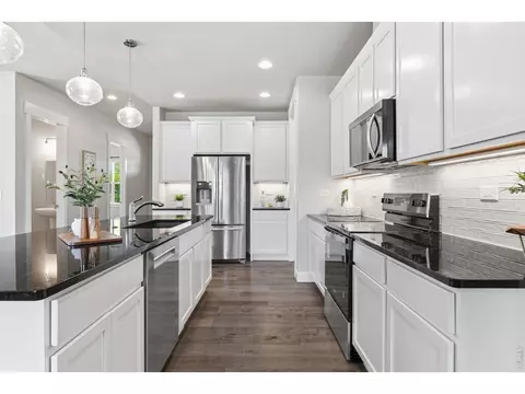 8446 Annapolis Dr #1, Windsor, CO 80528 photo 9