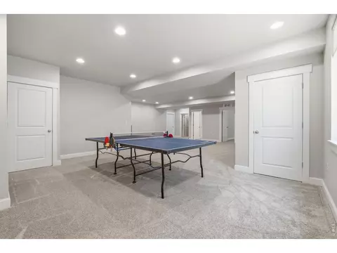8446 Annapolis Dr #1, Windsor, CO 80528 photo 29