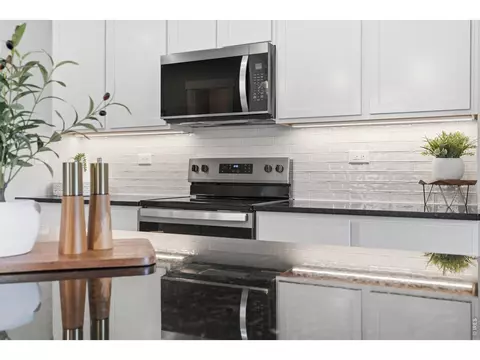 8446 Annapolis Dr #1, Windsor, CO 80528 photo 8