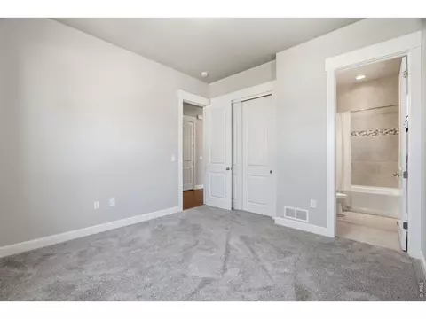8446 Annapolis Dr #1, Windsor, CO 80528 photo 23
