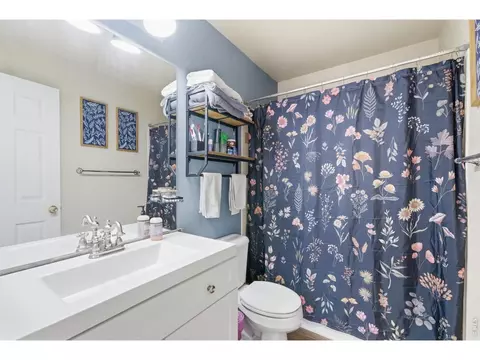 Bath - 7472 Skyline Way, Frederick, CO 80504 photo 3 of 3