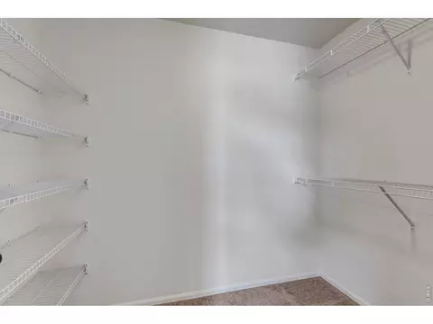 Other - 945 Maplebrook Dr, Windsor, CO 80550 photo 2 of 7