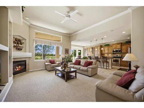 Living - 37018 Soaring Eagle Cir, Severance, CO 80550 photo 4 of 5