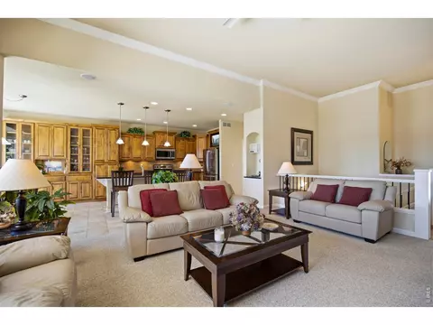Living - 37018 Soaring Eagle Cir, Severance, CO 80550 photo 5 of 5
