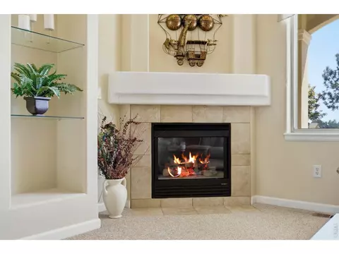 Living - 37018 Soaring Eagle Cir, Severance, CO 80550 photo 3 of 5