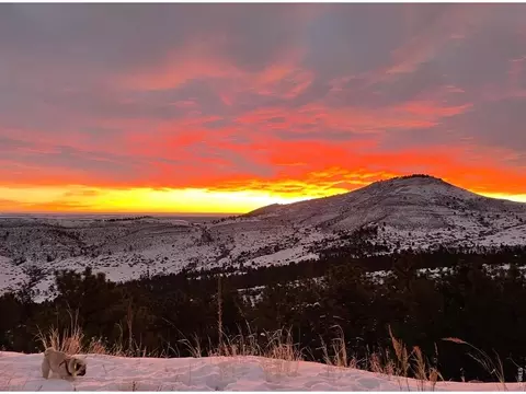 Other - 47 Pyrite Way, Lyons, CO 80540 photo 10 of 17