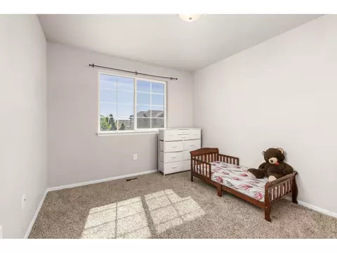 Other - 805 Mt Sneffels Ave, Windsor, CO 80550 photo 3 of 5