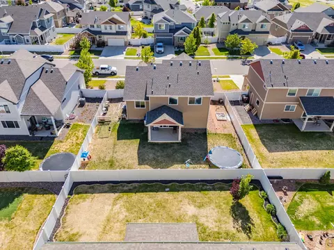 View/Area - 805 Mt Sneffels Ave, Windsor, CO 80550 photo 5 of 10
