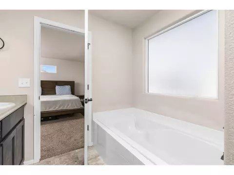Bath - 805 Mt Sneffels Ave, Windsor, CO 80550 photo 3 of 5