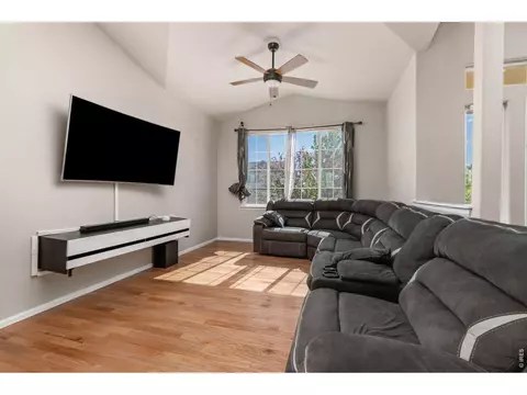 Living - 805 Mt Sneffels Ave, Windsor, CO 80550 photo 1 of 5