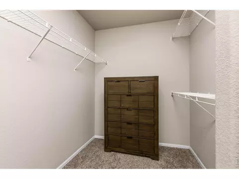Other - 805 Mt Sneffels Ave, Windsor, CO 80550 photo 2 of 5