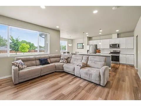 3774 Beech Tree St, Wellington, CO 80549