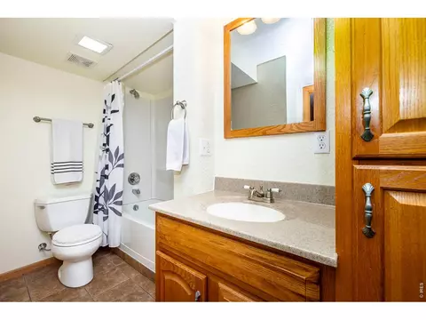 Bath - 1110 Alpine Ct, Windsor, CO 80550 photo 5 of 5