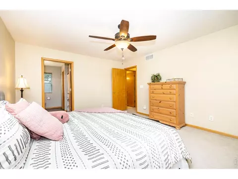 Bedroom - 1110 Alpine Ct, Windsor, CO 80550 photo 4 of 8