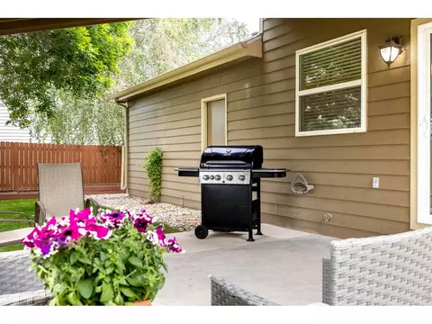 Exterior - 1110 Alpine Ct, Windsor, CO 80550 photo 4 of 7