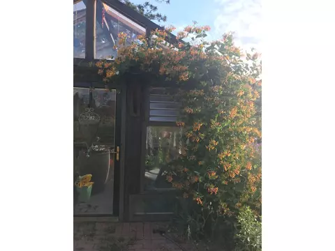 Other - 239 Estes Park Estates Dr, Lyons, CO 80540 photo 8 of 15