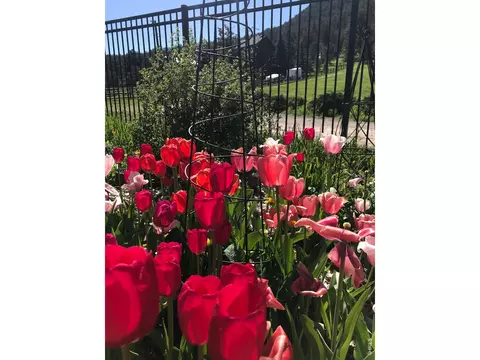 Other - 239 Estes Park Estates Dr, Lyons, CO 80540 photo 13 of 15