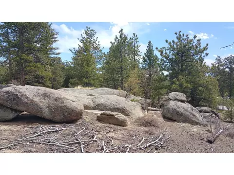 2928 Fox Acres Dr, Red Feather Lakes, CO 80545