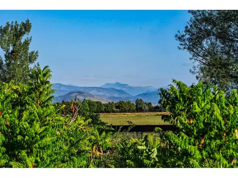 7237 Spring Creek Cir, Niwot, CO 80503