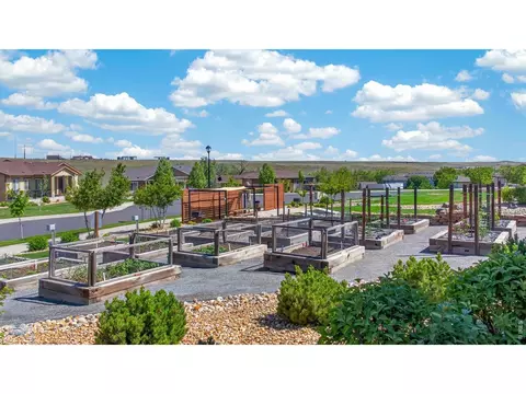 View/Area - 12556 W Montane Dr, Broomfield, CO 80021 photo 5 of 5