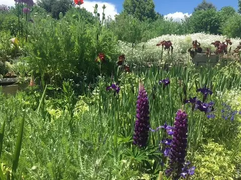 Other - 5366 Westridge Dr, Boulder, CO 80301 photo 2 of 11