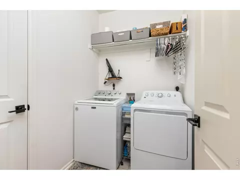 Other - 5524 Bexley Dr, Windsor, CO 80550 photo 5 of 5