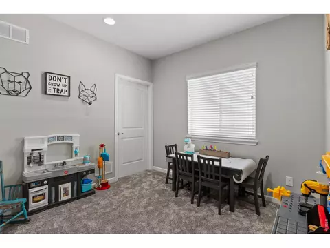 8370 Cherry Blossom Dr, Windsor, CO 80550 photo 39
