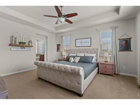 8370 Cherry Blossom Dr, Windsor, CO 80550 photo 25