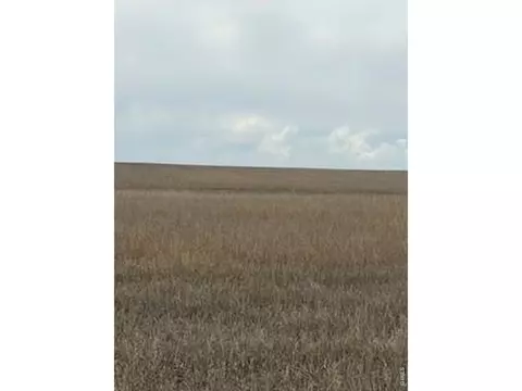 Peoria Crossing Rd, Wiggins, CO 80654 photo 3